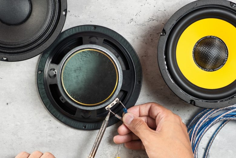 Why Do Speakers Have In Speaker Explained